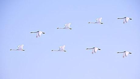 《星球大战：亡命之徒》任命新创意总监负责更新